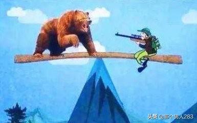 我与动物的故事作文800字初中