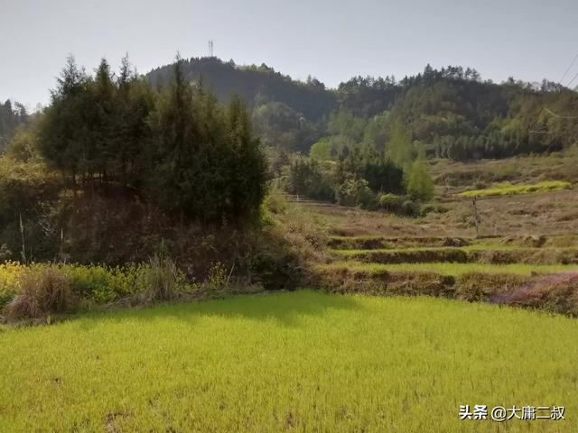 塞翁失马的故事讲了什么道理