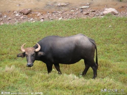 塞翁失马的故事讲了什么道理