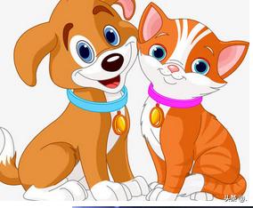 狗和猫的故事作文（狗和猫的作文怎么写）